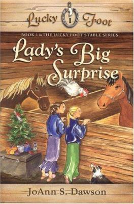 Lady's Big Surprise 0974656151 Book Cover