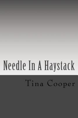 Needle In A Haystack 1500575542 Book Cover