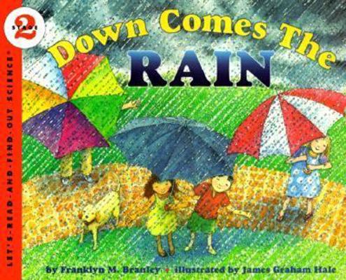 Down Comes the Rain 0613048776 Book Cover