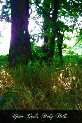 Upon God's Holy Hills: The Guides St. Anthony O... 1477496823 Book Cover