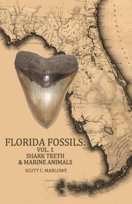 Florida Fossils: Shark Teeth & Marine Animals 1494881756 Book Cover