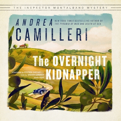 The Overnight Kidnapper 1982595760 Book Cover