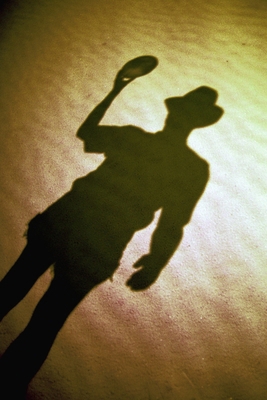 Chasing Shadows B0DNTMYQJC Book Cover