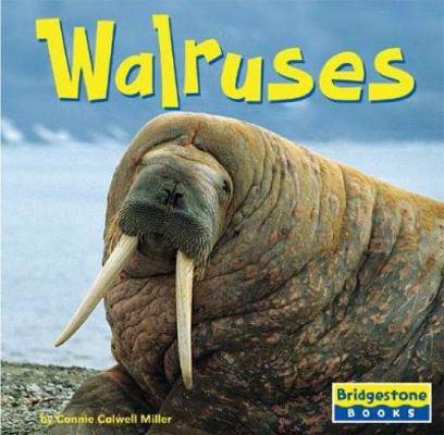 Walruses 0736843132 Book Cover