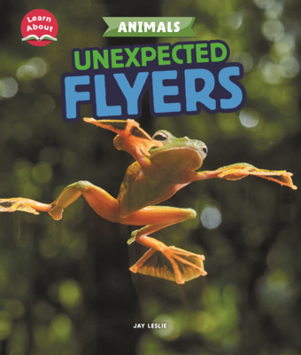 Unexpected Flyers B0GMZH89FZ Book Cover