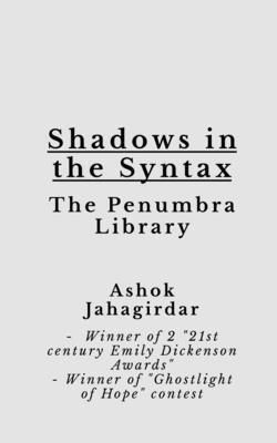 Shadows in the Syntax: The Penumbra Library B0G591V53Y Book Cover