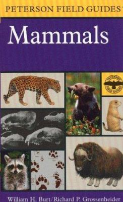 A Field Guide to Mammals: North America North o... 0395910986 Book Cover