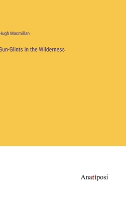 Sun-Glints in the Wilderness 3382183811 Book Cover