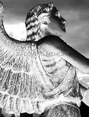 Celbration of life In memory Of Journal: Celbra... 0464253411 Book Cover