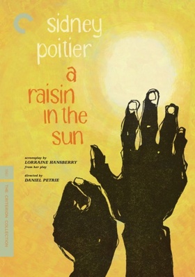 A Raisin in the Sun            Book Cover
