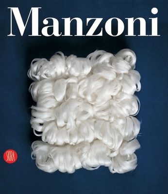 Manzoni: Cataogue Raisonne 888491146X Book Cover