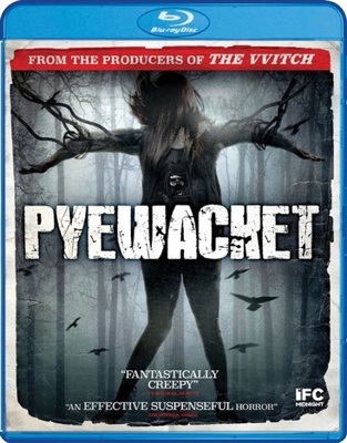 Pyewacket 6317361215 Book Cover