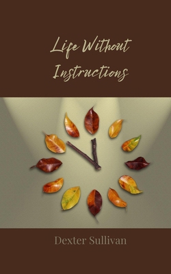 Life Without Instructions 3690855772 Book Cover