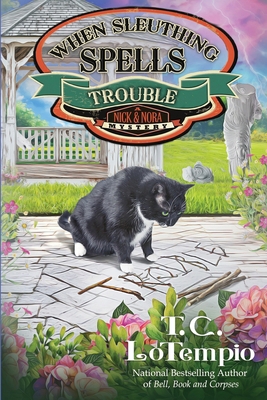 When Sleuthing Spells Trouble 1966322399 Book Cover