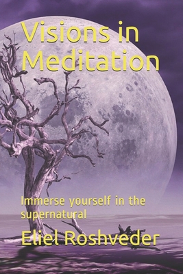 Visions in Meditation: Immerse yourself in the ... B08P1H45NQ Book Cover