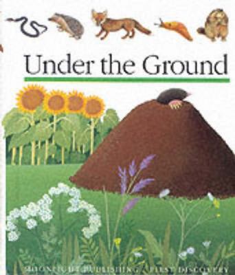 Under the Ground 185103109X Book Cover