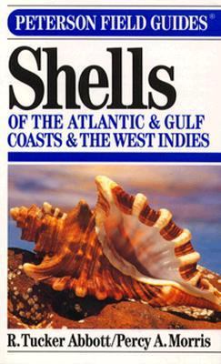 A Field Guide to Shells of the Atlantic and Gul... 0395697794 Book Cover