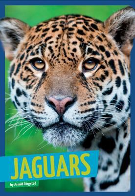 Jaguars 1607536013 Book Cover