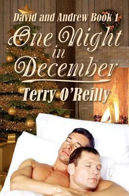 David and Andrew Book 1: One Night in December 1467907502 Book Cover