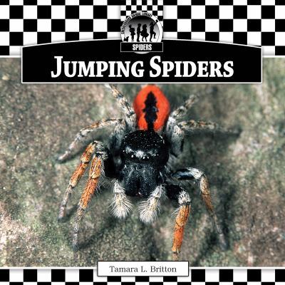 Jumping Spiders 1616134410 Book Cover