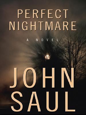 Perfect Nightmare [Large Print] 1594131317 Book Cover