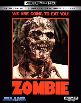 Zombie Book Cover