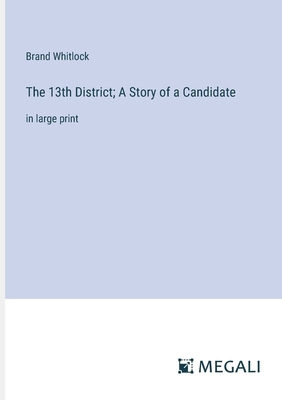 The 13th District; A Story of a Candidate: in l... 3387088388 Book Cover