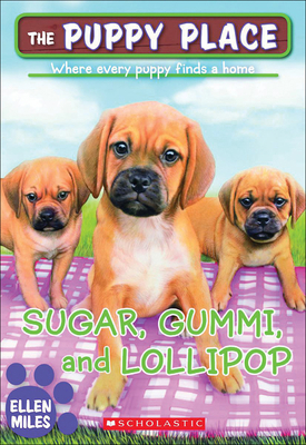 Sugar, Gummi, and Lollipop 0606380795 Book Cover