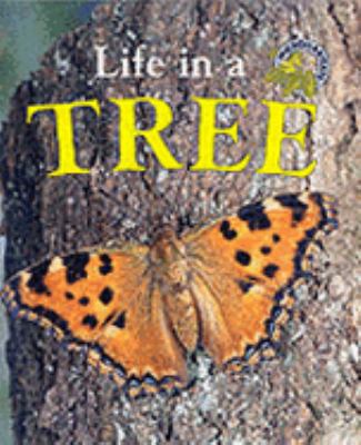 Life in a Tree 0237522985 Book Cover