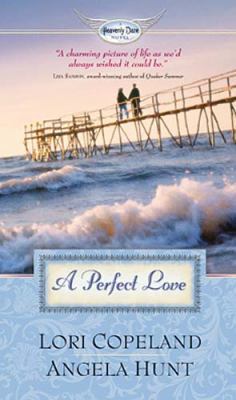 A Perfect Love 1595545522 Book Cover