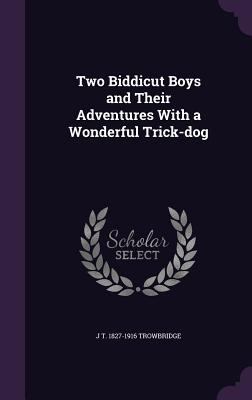 Two Biddicut Boys and Their Adventures With a W... 1347194398 Book Cover