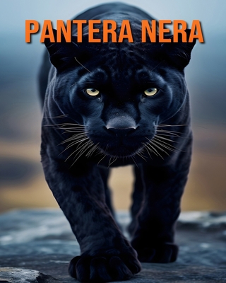 Pantera nera: Divertimento, Fatti e Immagini su... [Italian]            Book Cover