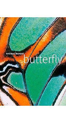 Butterfly 0756667291 Book Cover