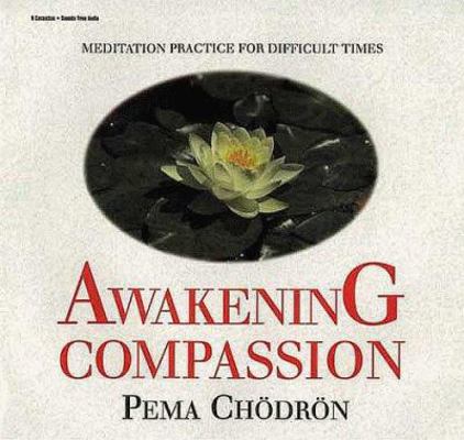 Awakening Compassion: Meditation Practice for D... 1564553140 Book Cover