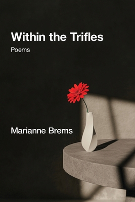 Within the Trifles 1639808493 Book Cover