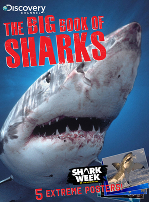The Big Book of Sharks 1603209301 Book Cover