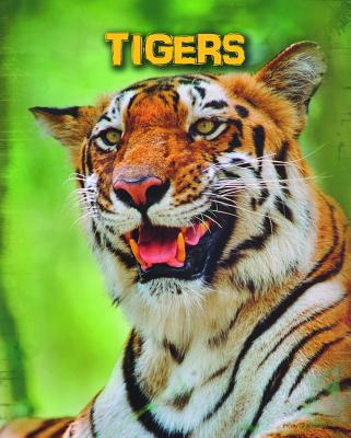 Tigers 1432981102 Book Cover