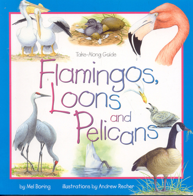 Flamingos, Loons & Pelicans (Take Along Guides) 1559719435 Book Cover