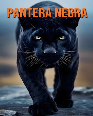 Pantera Negra: Diversão, Curiosidades e Fotos S... [Portuguese]            Book Cover