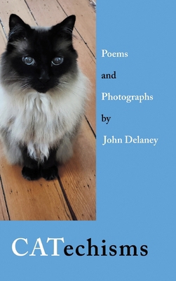 CATechisms B0FTCRGSB8 Book Cover