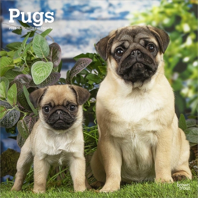 Pugs 2026 12 X 24 Inch (Hanging) Monthly Square... B0DYKWDGB5 Book Cover