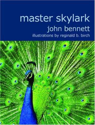 Master Skylark [Large Print] 1434623319 Book Cover