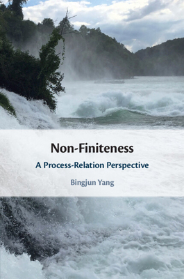Non-Finiteness 1009073699 Book Cover