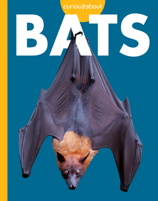 Curious about Bats B0H8ZWP63S Book Cover