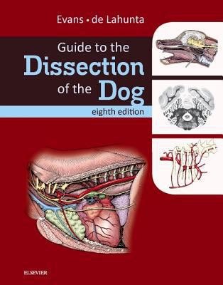 Guide to the Dissection of the Dog 0323391656 Book Cover