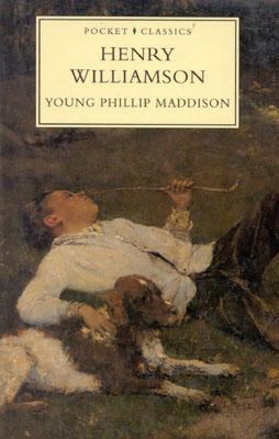 Young Phillip Maddison: Volume 3 in "A Chronicl... 0750909560 Book Cover
