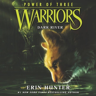 Warriors: Power of Three #2: Dark River 1094028436 Book Cover