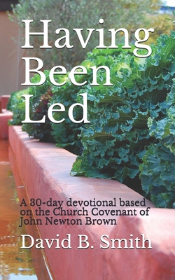 Having Been Led: A 30-day devotional based on t... B084P2QZPF Book Cover