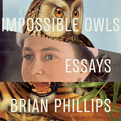 Impossible Owls: Essays 1665134232 Book Cover
