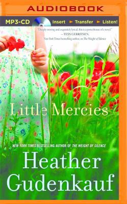 Little Mercies 1480586587 Book Cover